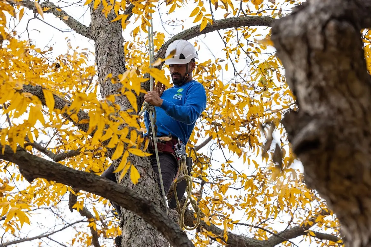 Skilled Storm Damage Cleanup crew working in Richland